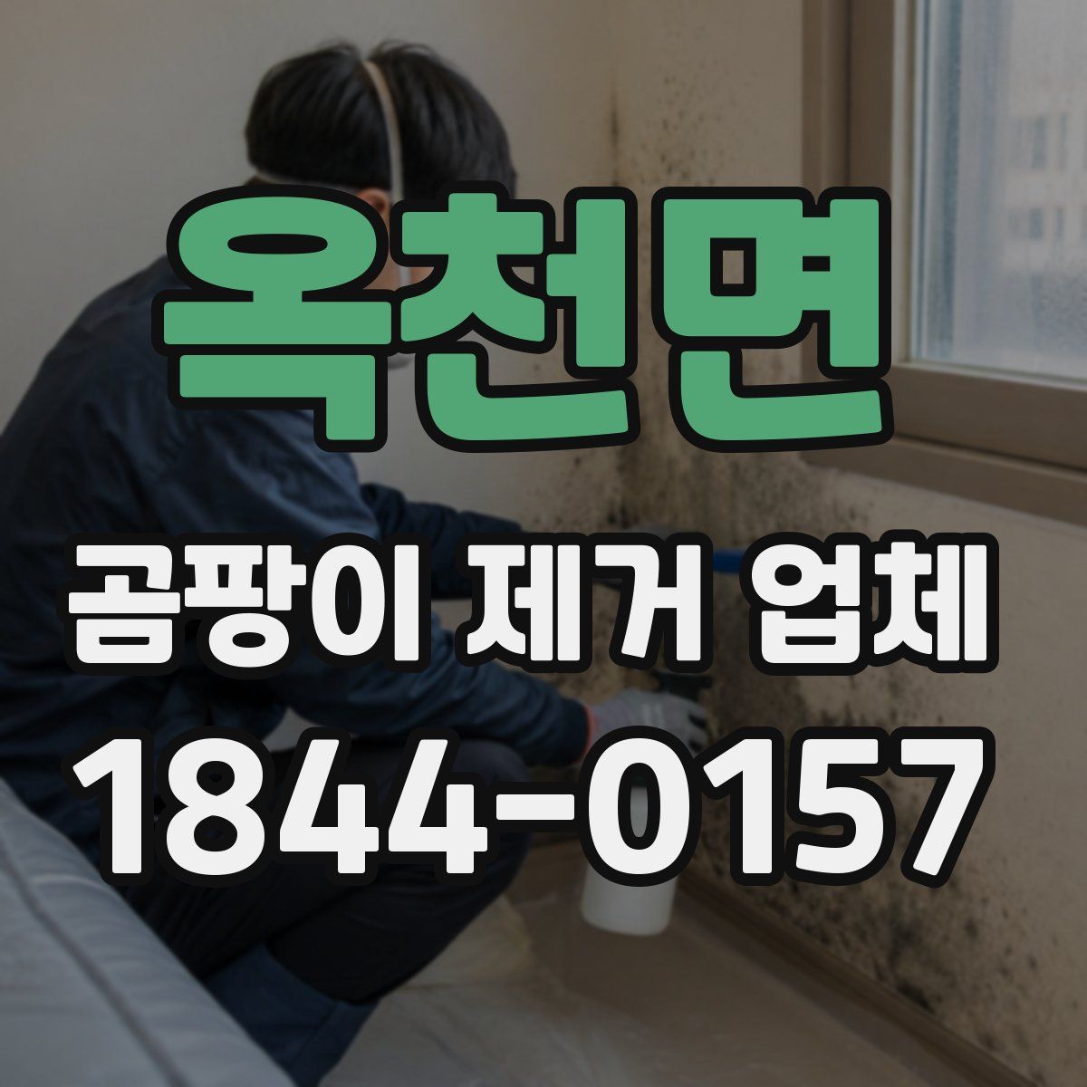 옥천면 곰팡이 제거 업체