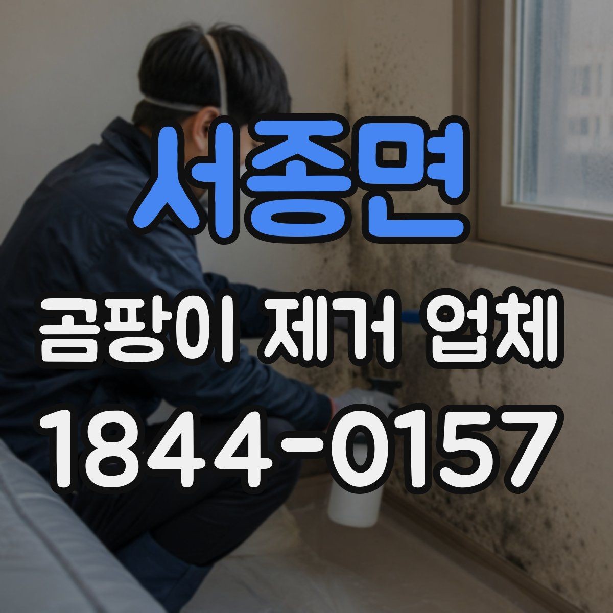 서종면 곰팡이 제거 업체 이용 전 꼭 확인할 질문 모음