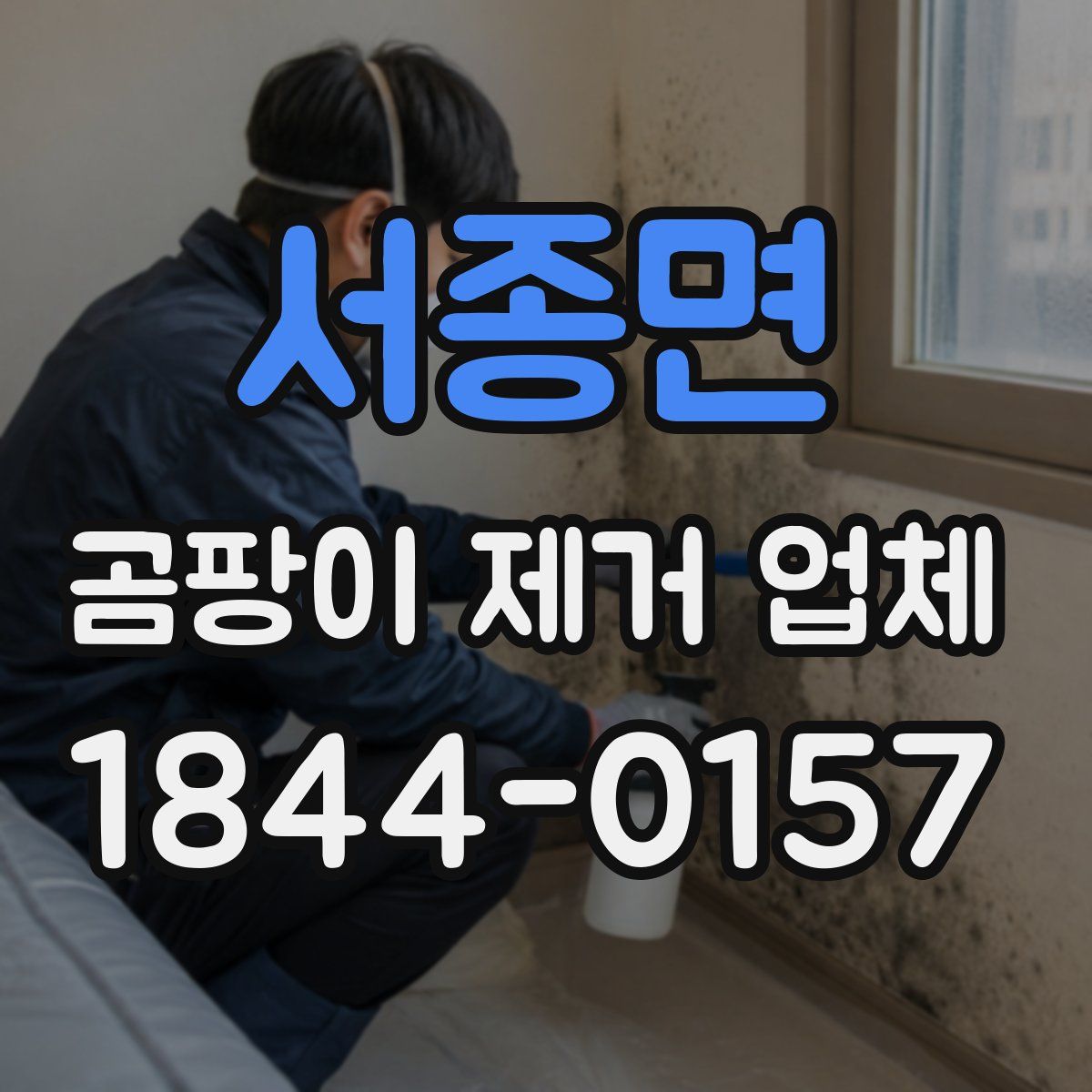 서종면 곰팡이 제거 업체