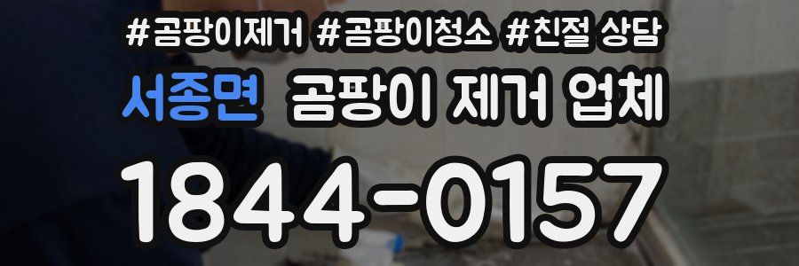 서종면 곰팡이 제거 업체