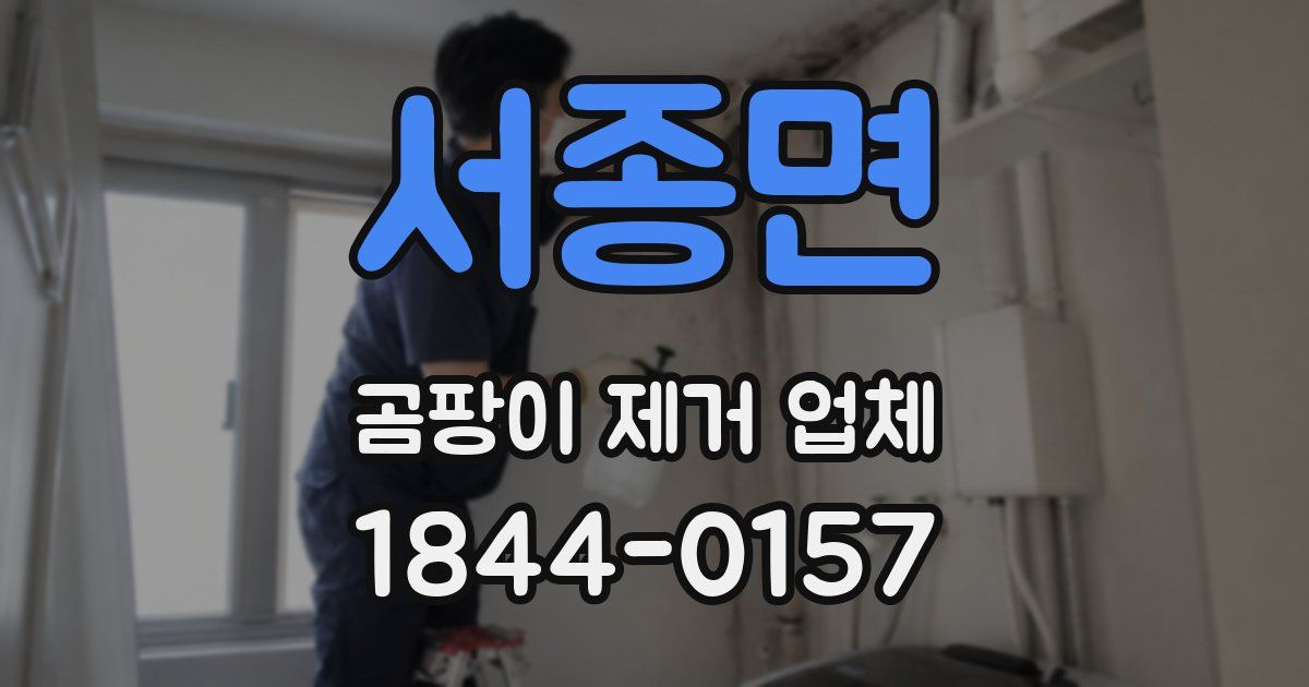 서종면 곰팡이 제거 업체