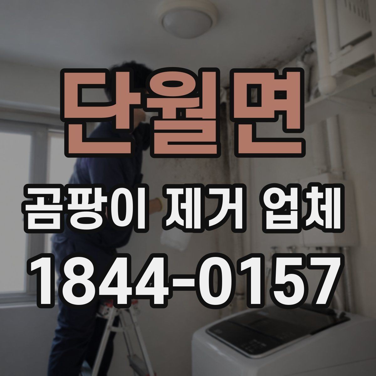 단월면 곰팡이 제거 업체 작업 전 짐 정리와 준비