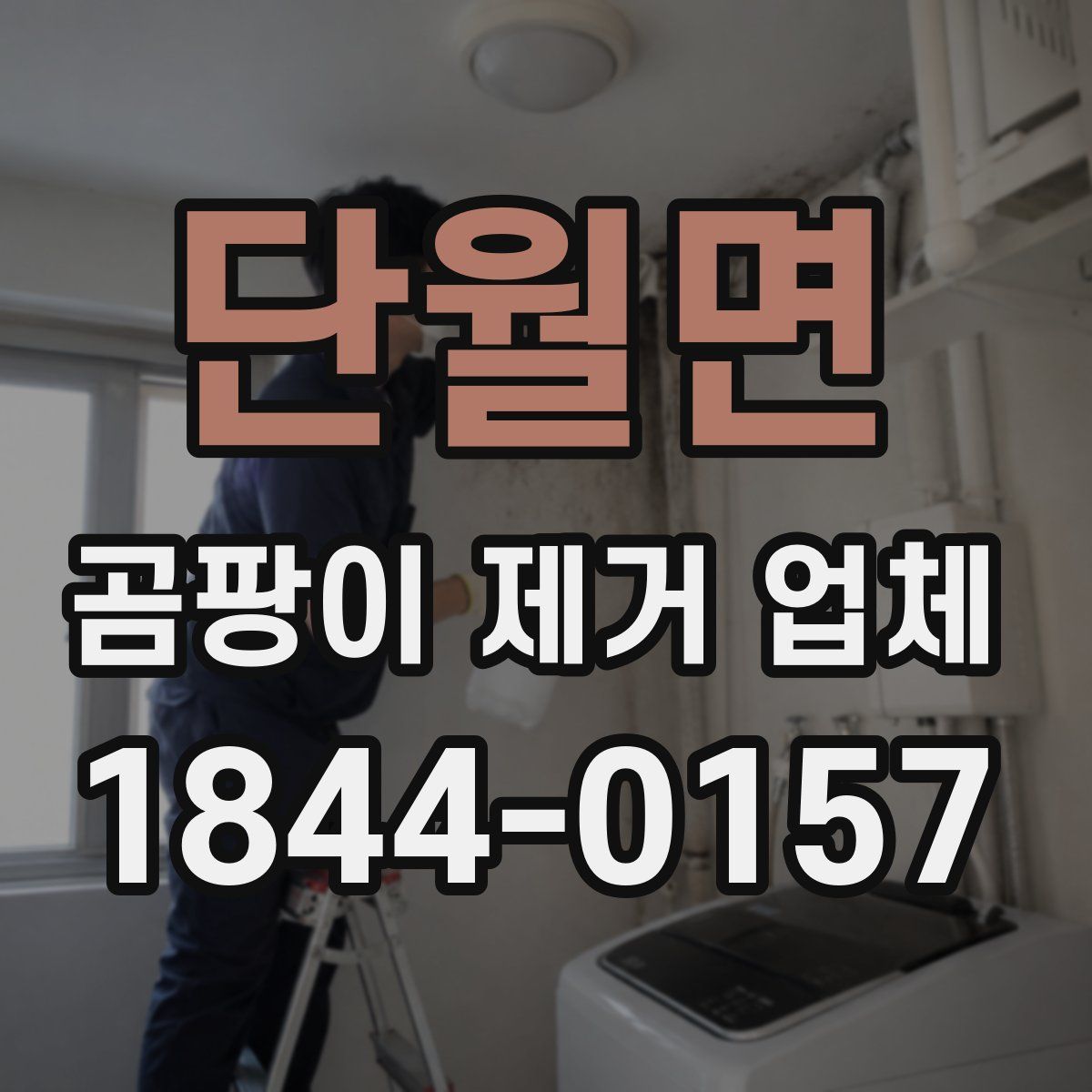 단월면 곰팡이 제거 업체