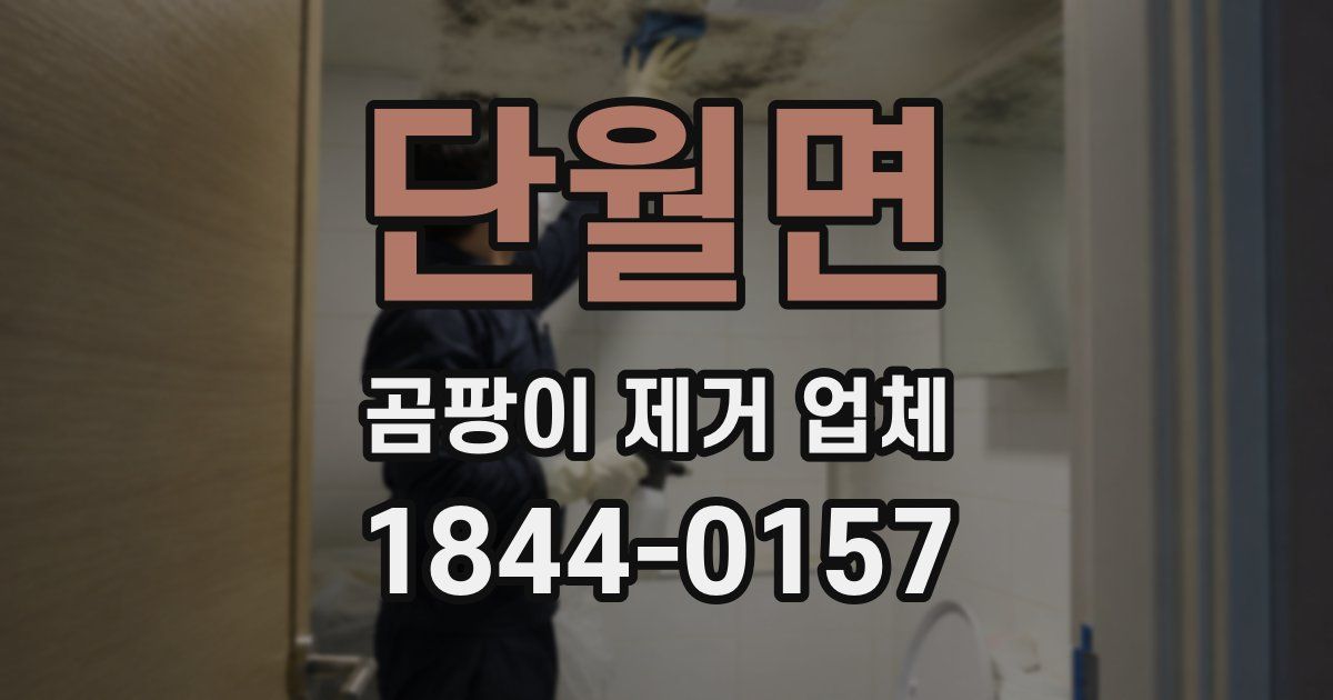 단월면 곰팡이 제거 업체