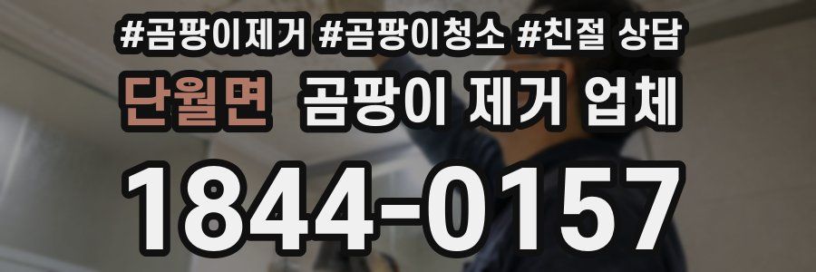 단월면 곰팡이 제거 업체
