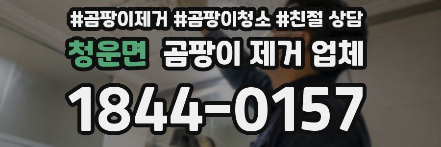 청운면 곰팡이 제거 업체