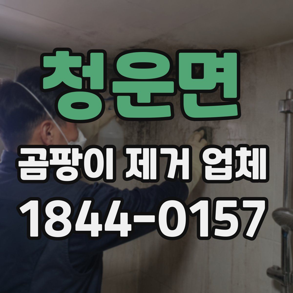 청운면 곰팡이 제거 업체