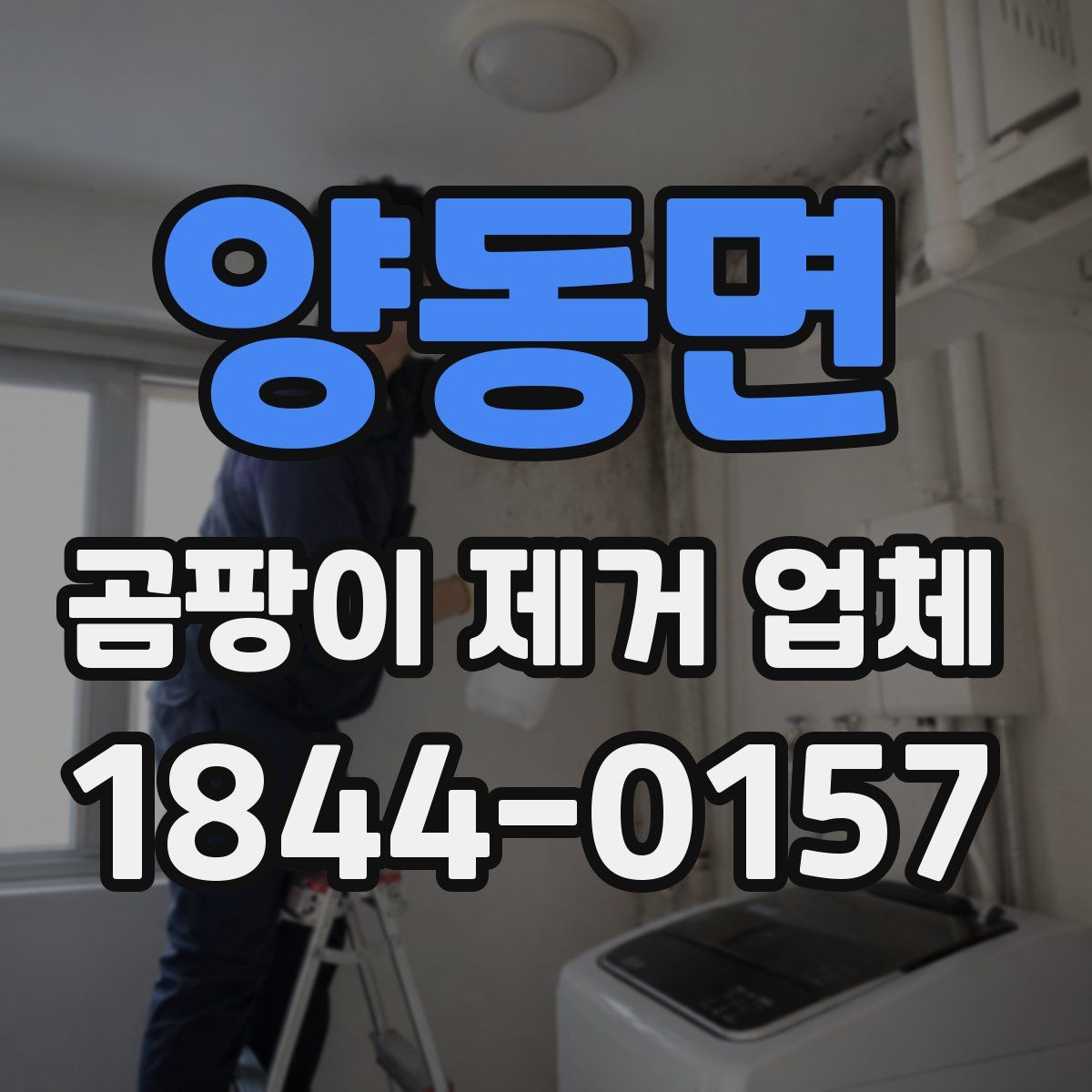양동면 곰팡이 제거 업체