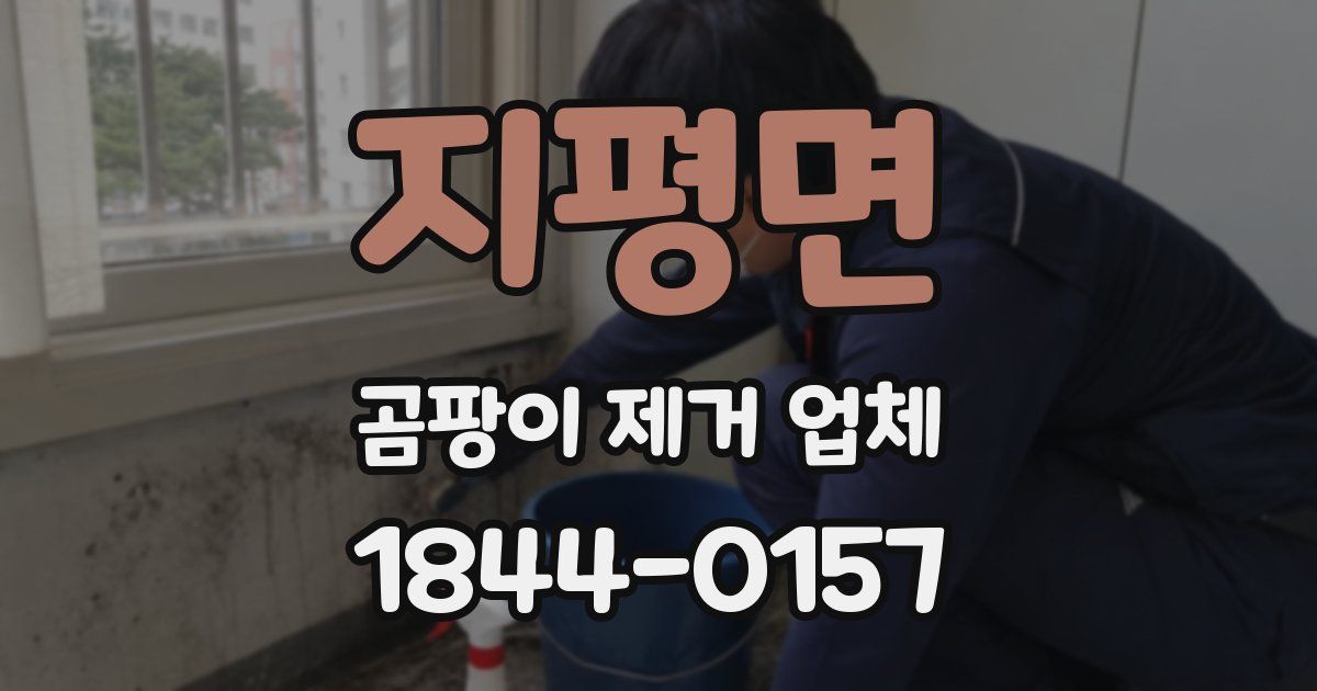 지평면 곰팡이 제거 업체