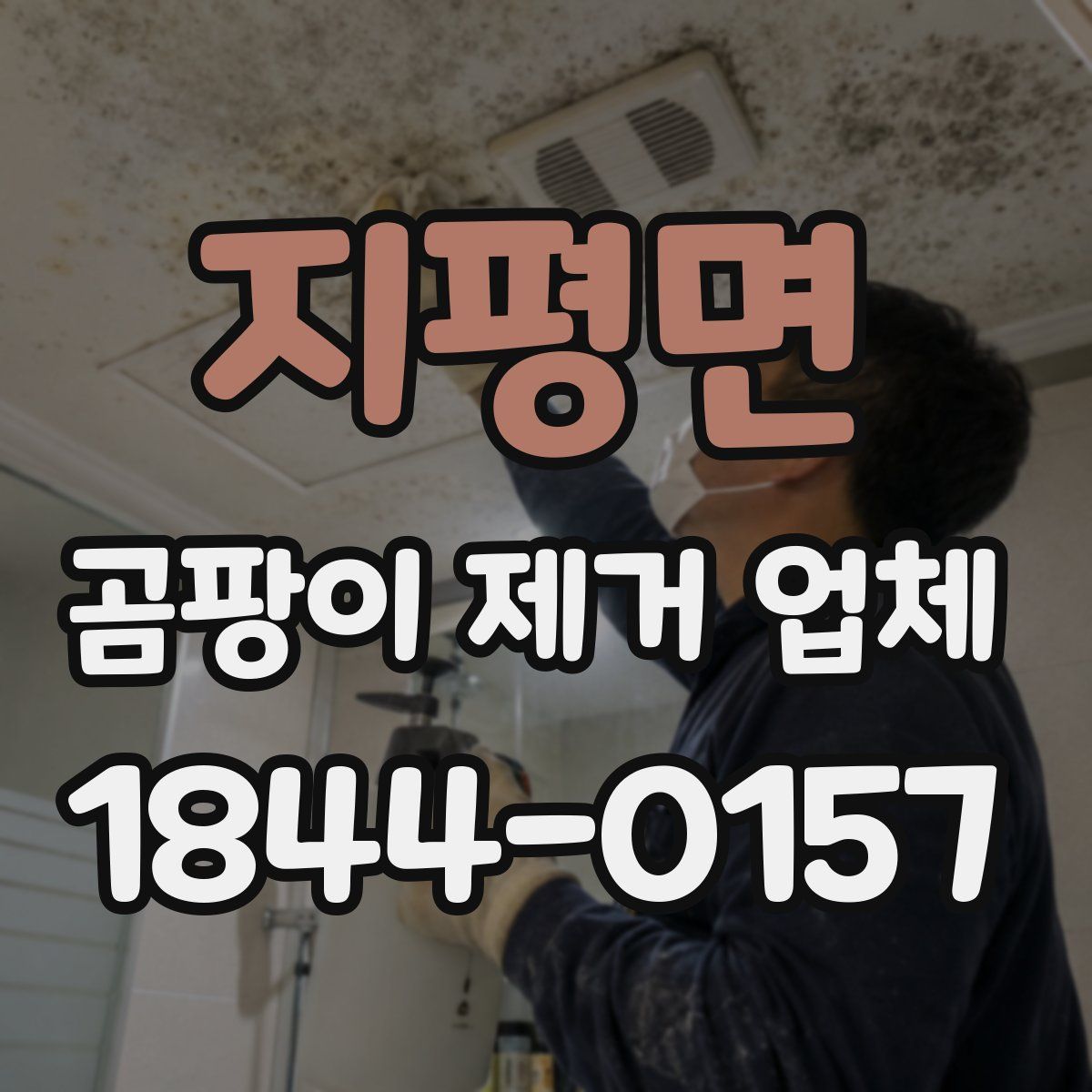 지평면 곰팡이 제거 업체
