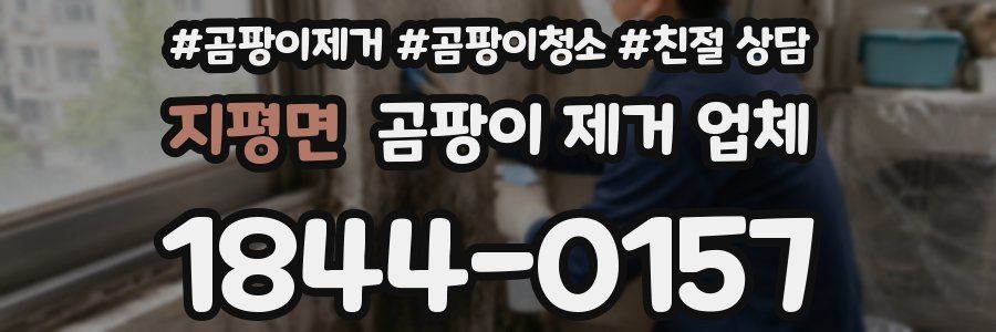 지평면 곰팡이 제거 업체