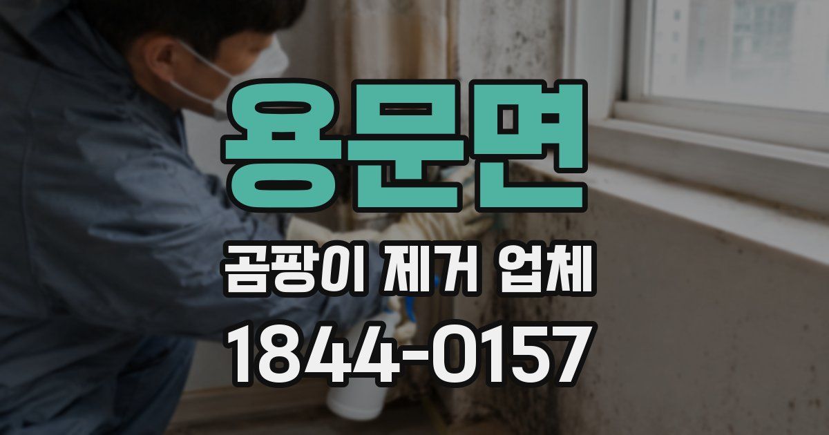 용문면 곰팡이 제거 업체