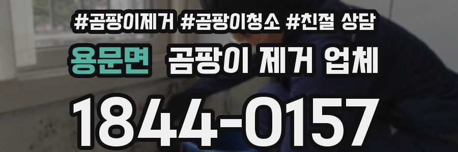 용문면 곰팡이 제거 업체