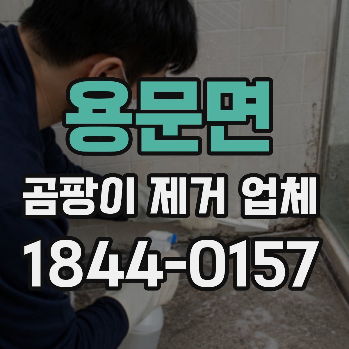 용문면 곰팡이 제거 업체