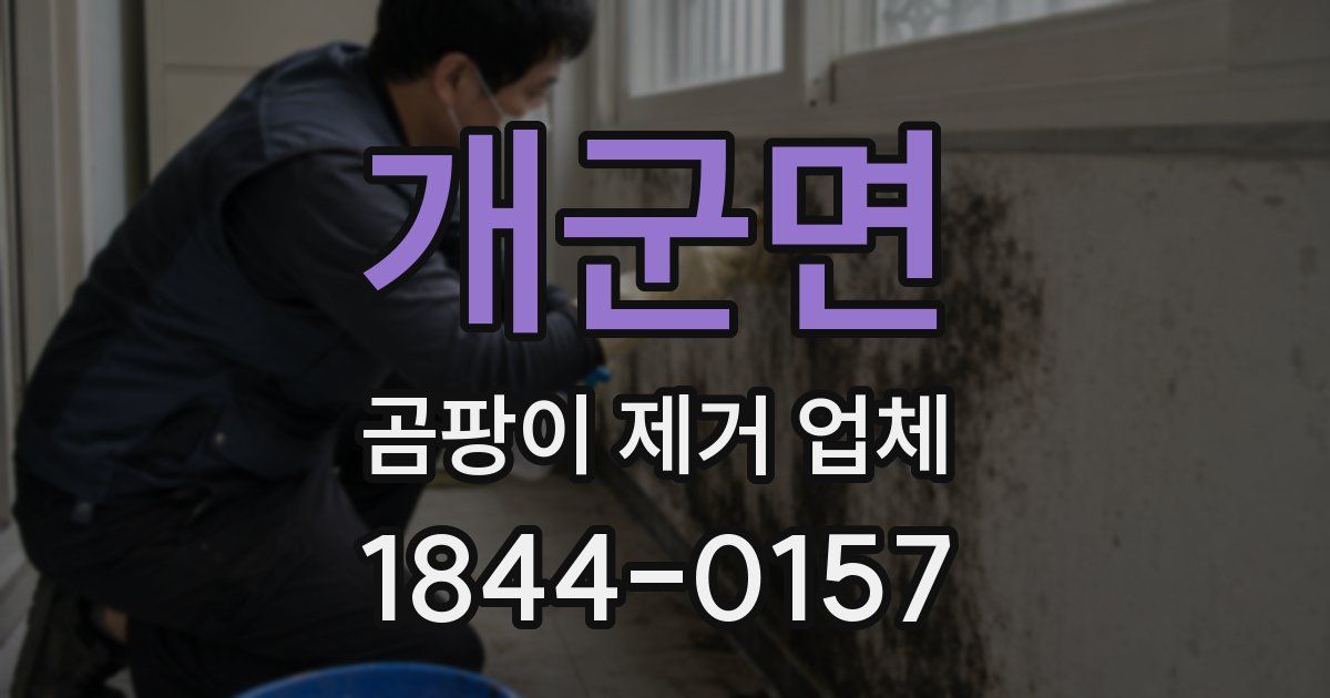 개군면 곰팡이 제거 업체