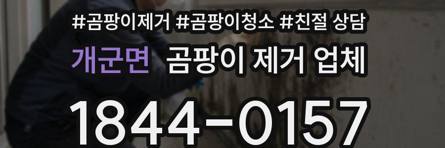 개군면 곰팡이 제거 업체