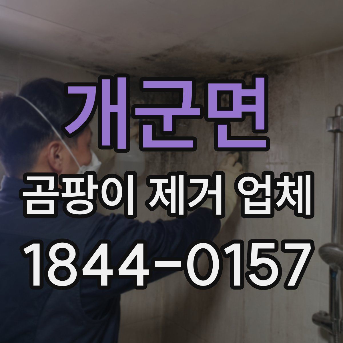 개군면 곰팡이 제거 업체