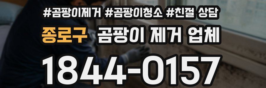 종로구 곰팡이 제거 업체