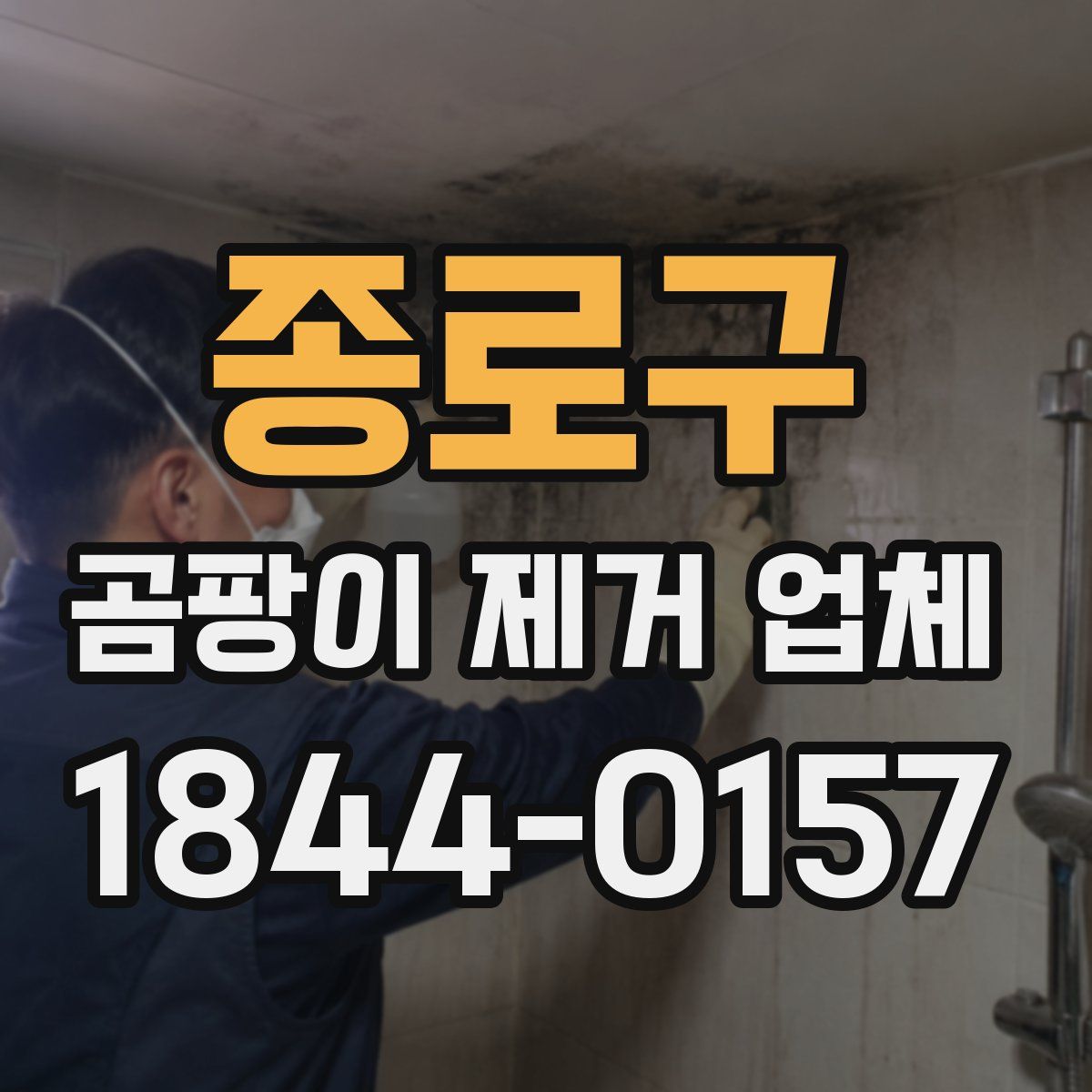 종로구 곰팡이 제거 업체
