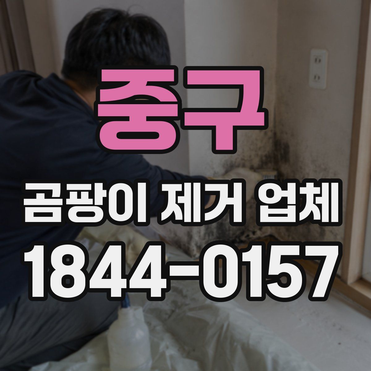 중구 곰팡이 제거 업체