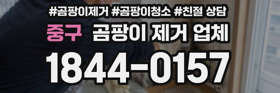 중구 곰팡이 제거 업체