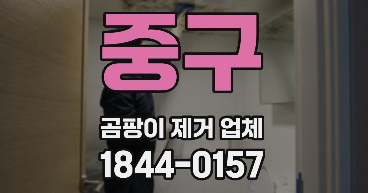 중구 곰팡이 제거 업체