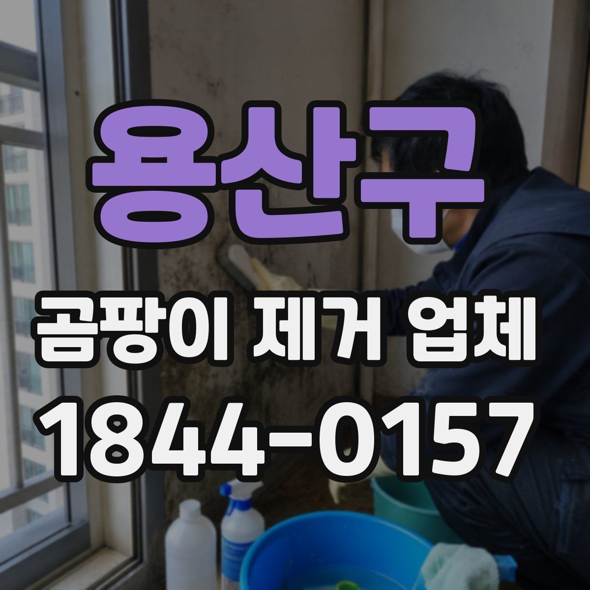 용산구 곰팡이 제거 업체