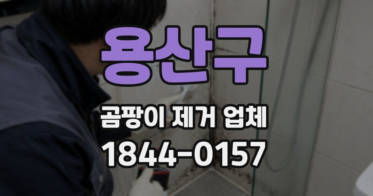 용산구 곰팡이 제거 업체