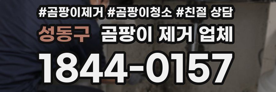 성동구 곰팡이 제거 업체