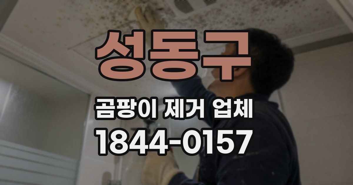 성동구 곰팡이 제거 업체