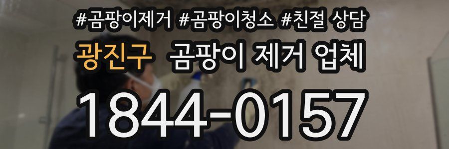 광진구 곰팡이 제거 업체