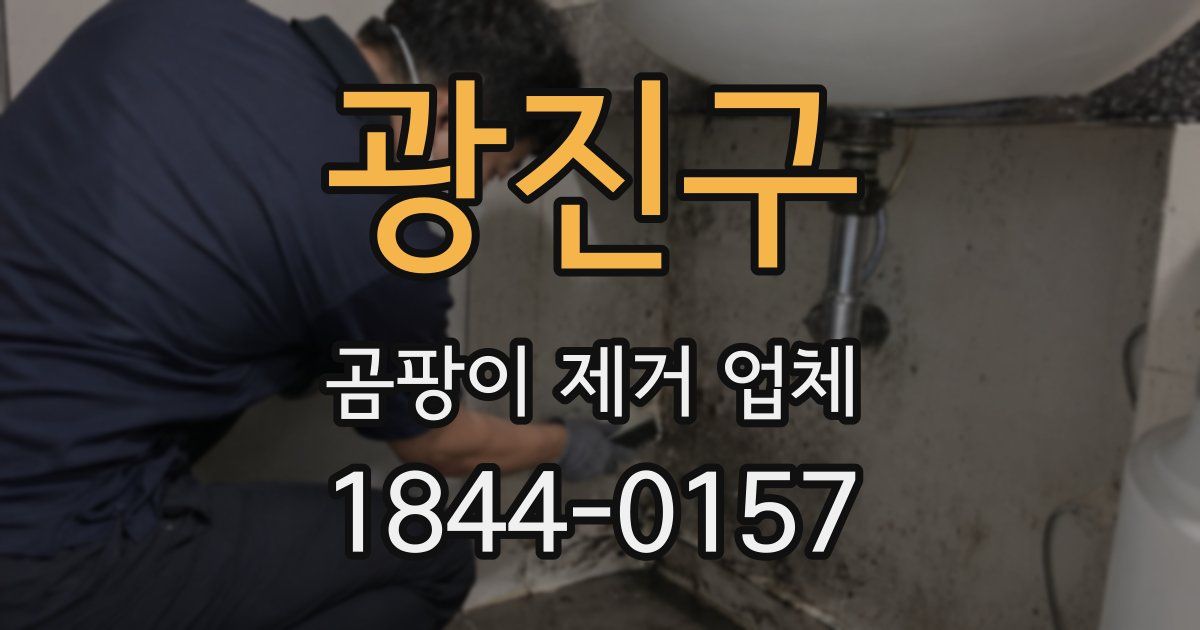 광진구 곰팡이 제거 업체
