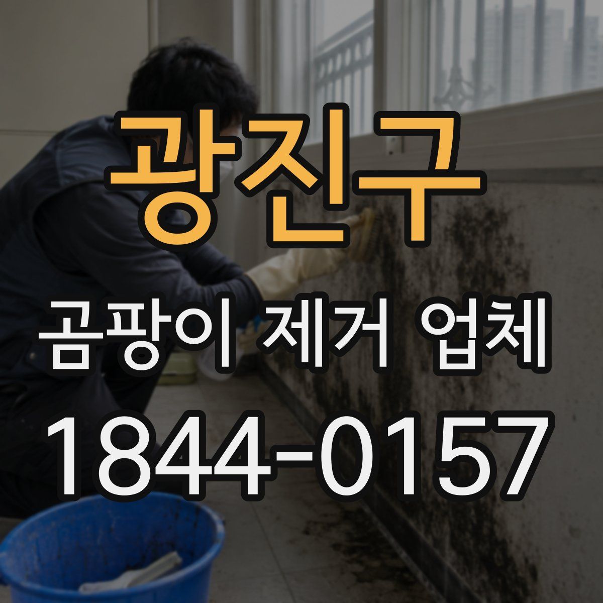 광진구 곰팡이 제거 업체