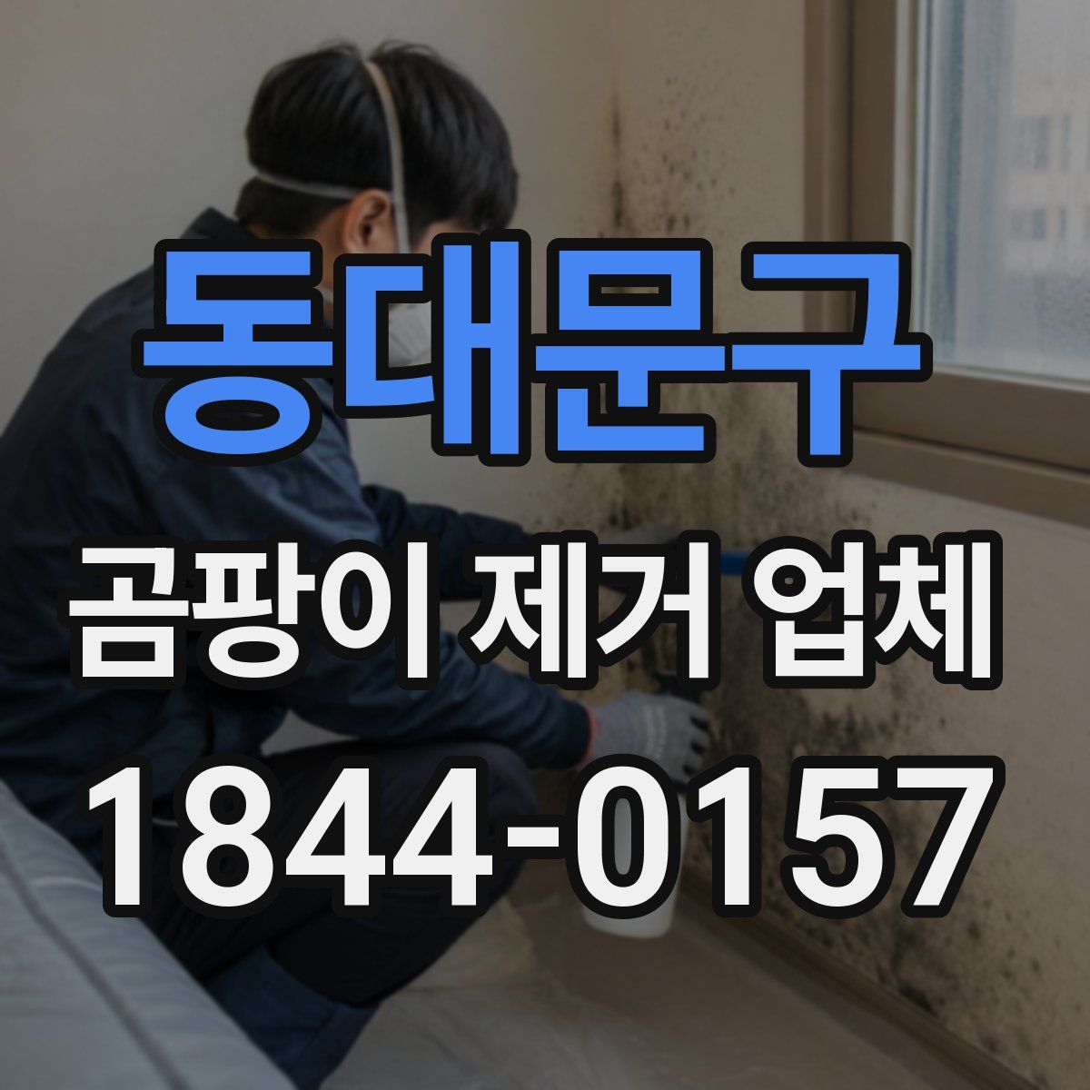 동대문구 곰팡이 제거 업체