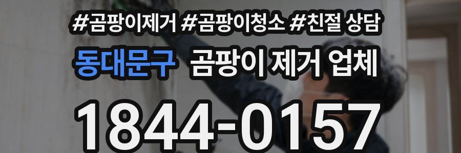 동대문구 곰팡이 제거 업체