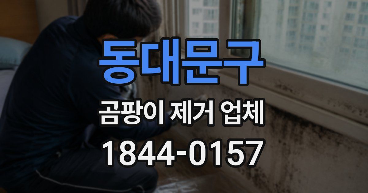 동대문구 곰팡이 제거 업체