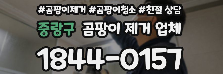 중랑구 곰팡이 제거 업체