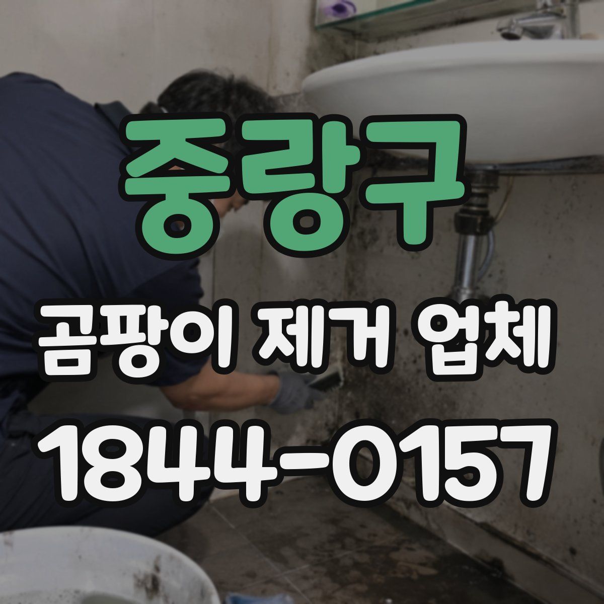 중랑구 곰팡이 제거 업체