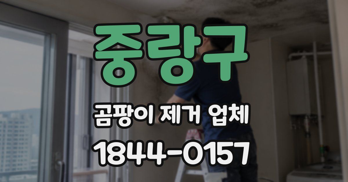 중랑구 곰팡이 제거 업체