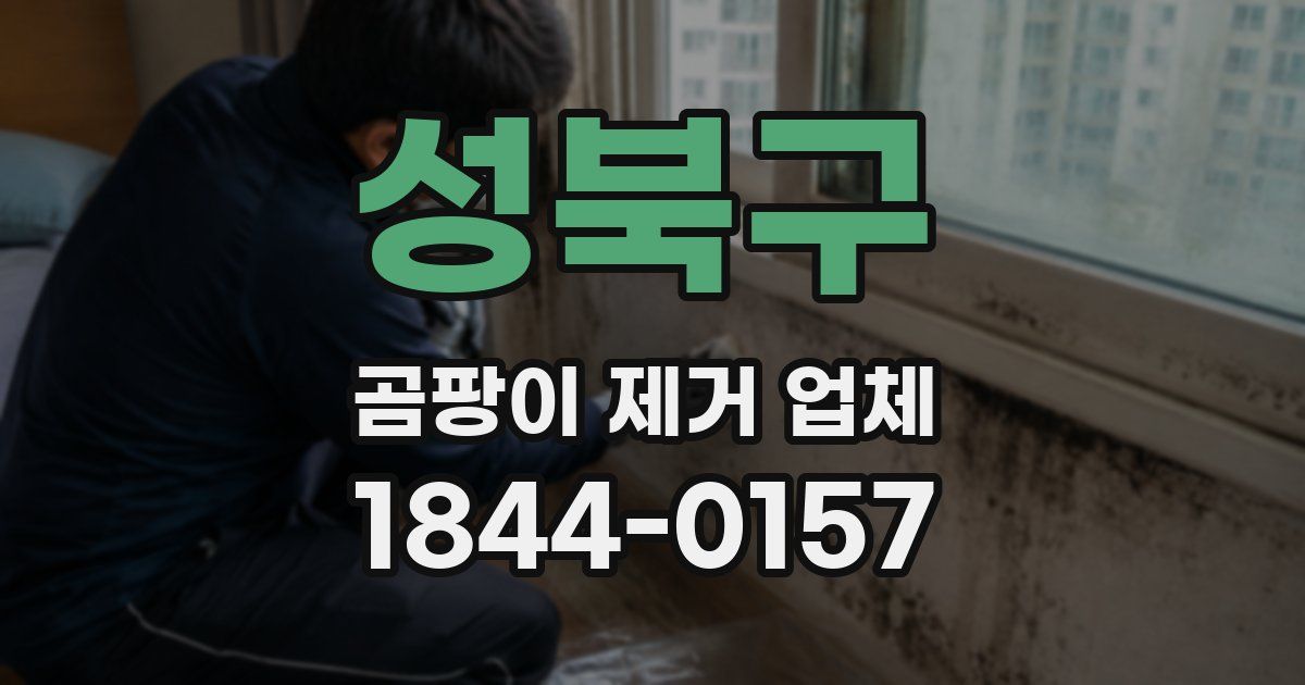 성북구 곰팡이 제거 업체