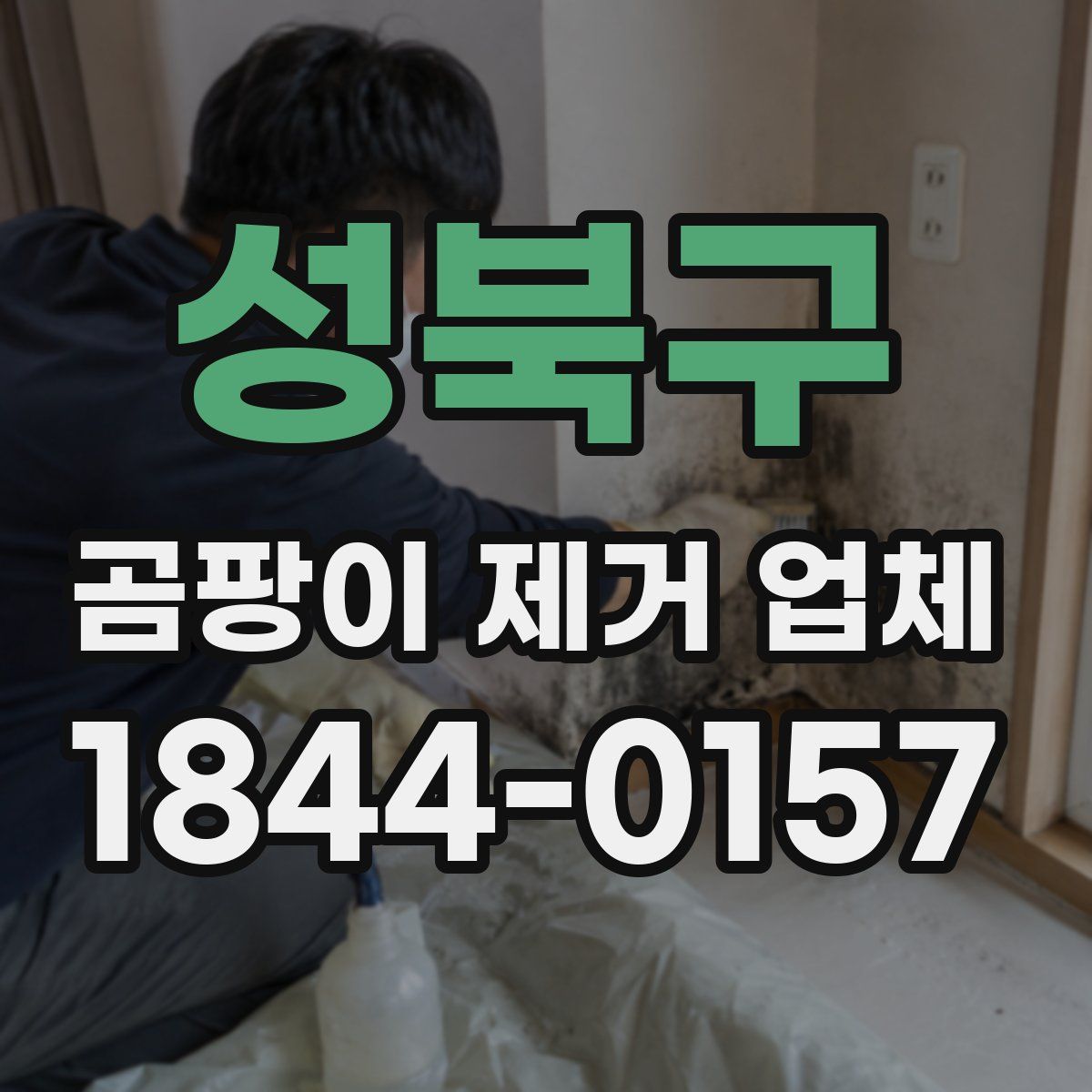 성북구 곰팡이 제거 업체