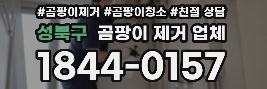 성북구 곰팡이 제거 업체