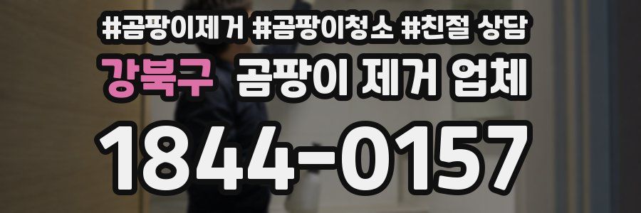 강북구 곰팡이 제거 업체