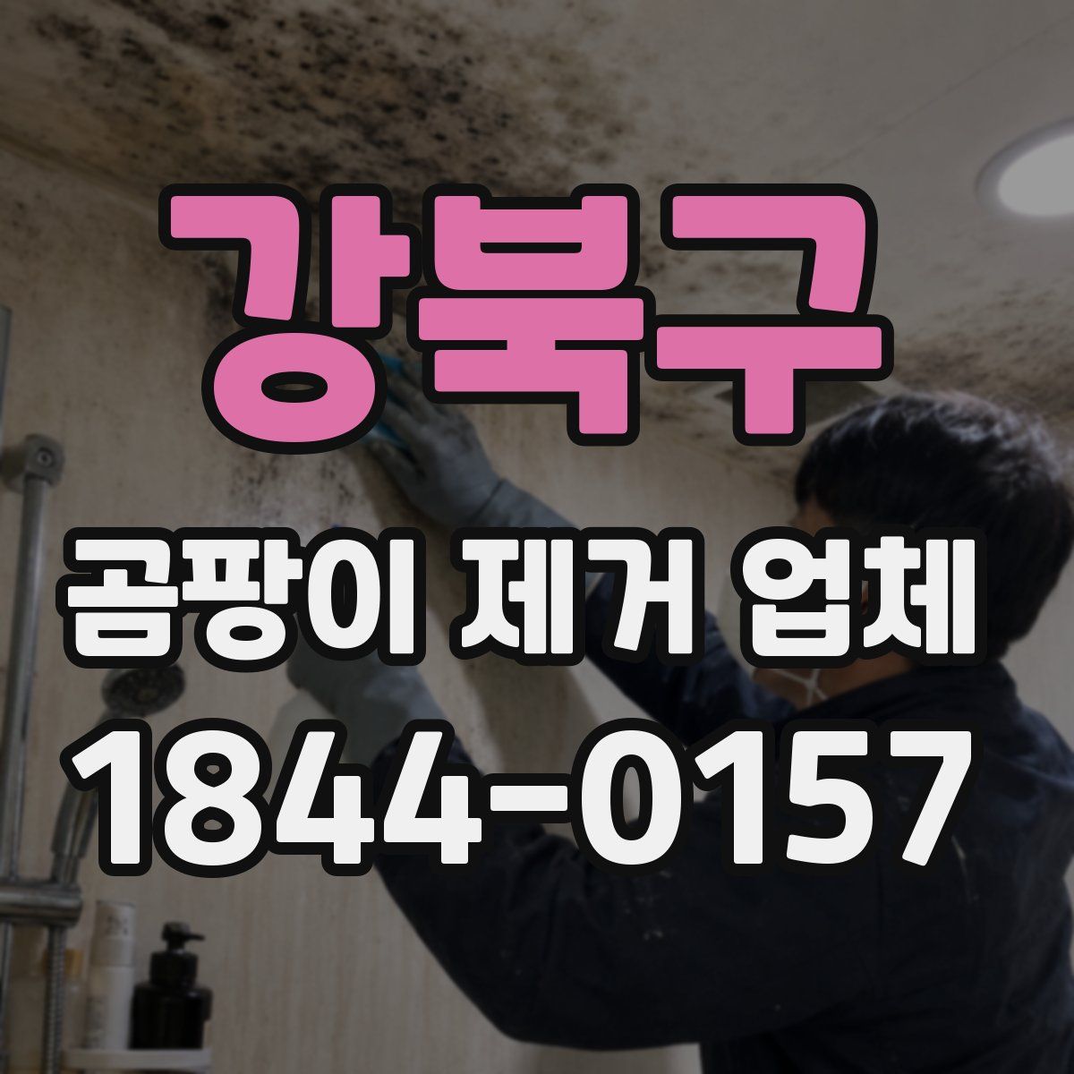 강북구 곰팡이 제거 업체