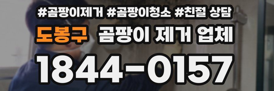 도봉구 곰팡이 제거 업체