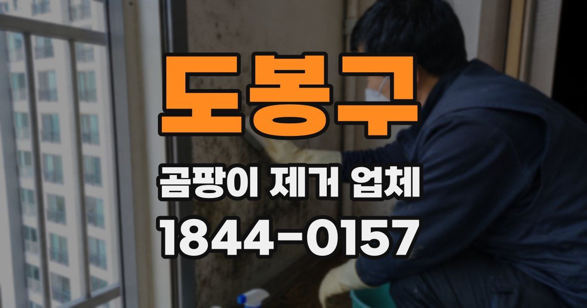 도봉구 곰팡이 제거 업체
