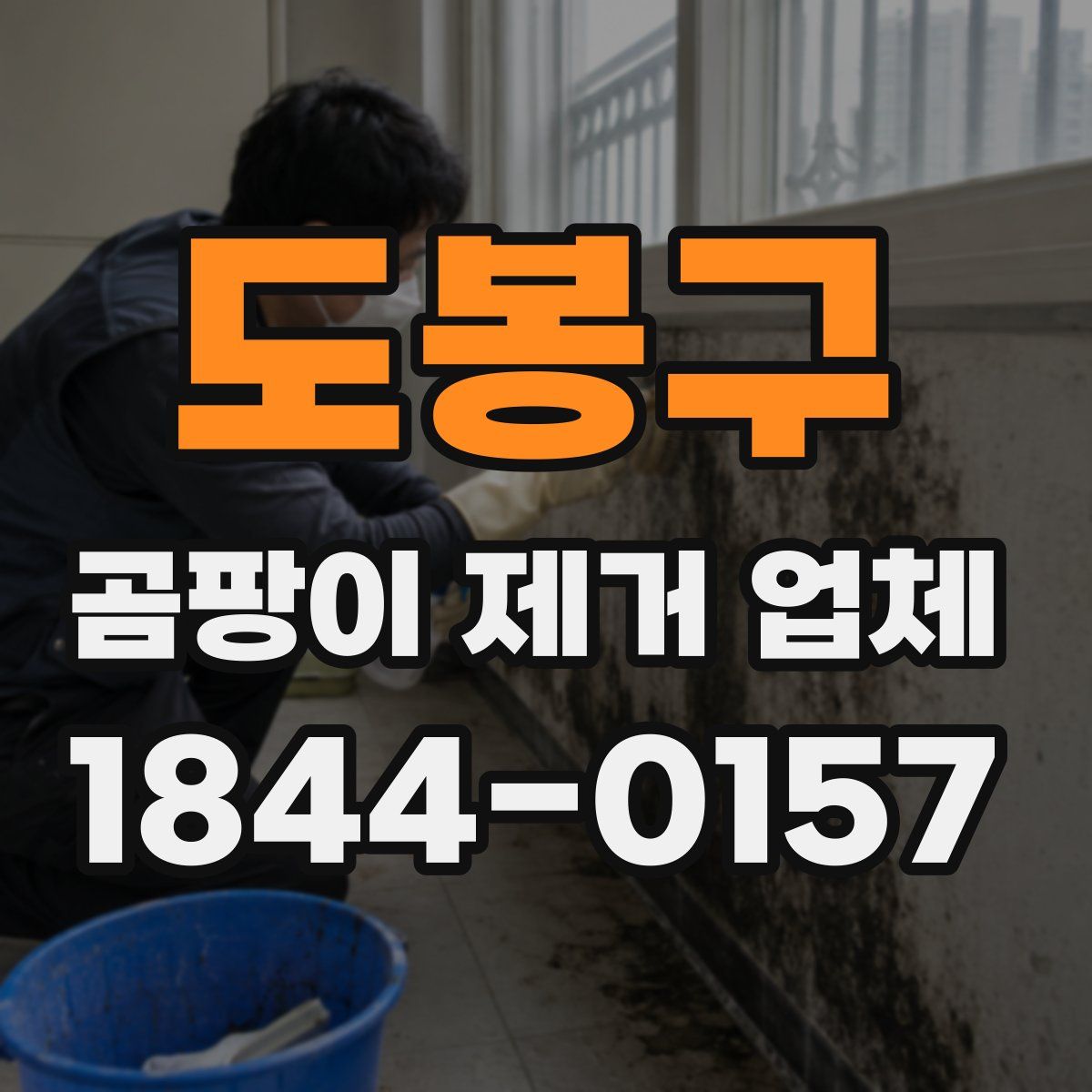 도봉구 곰팡이 제거 업체