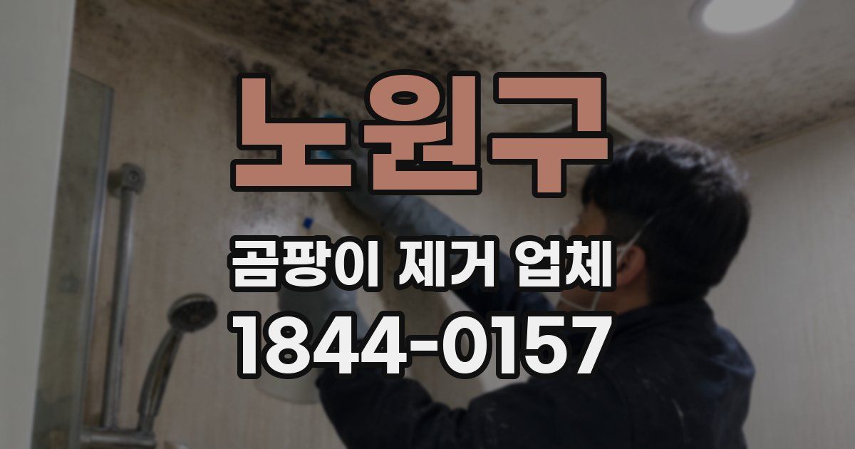 노원구 곰팡이 제거 업체