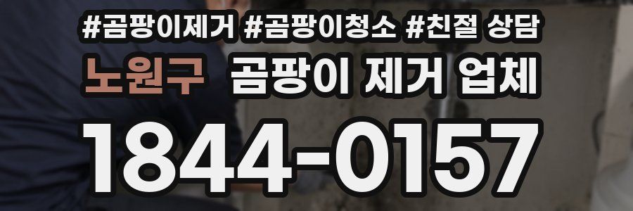 노원구 곰팡이 제거 업체