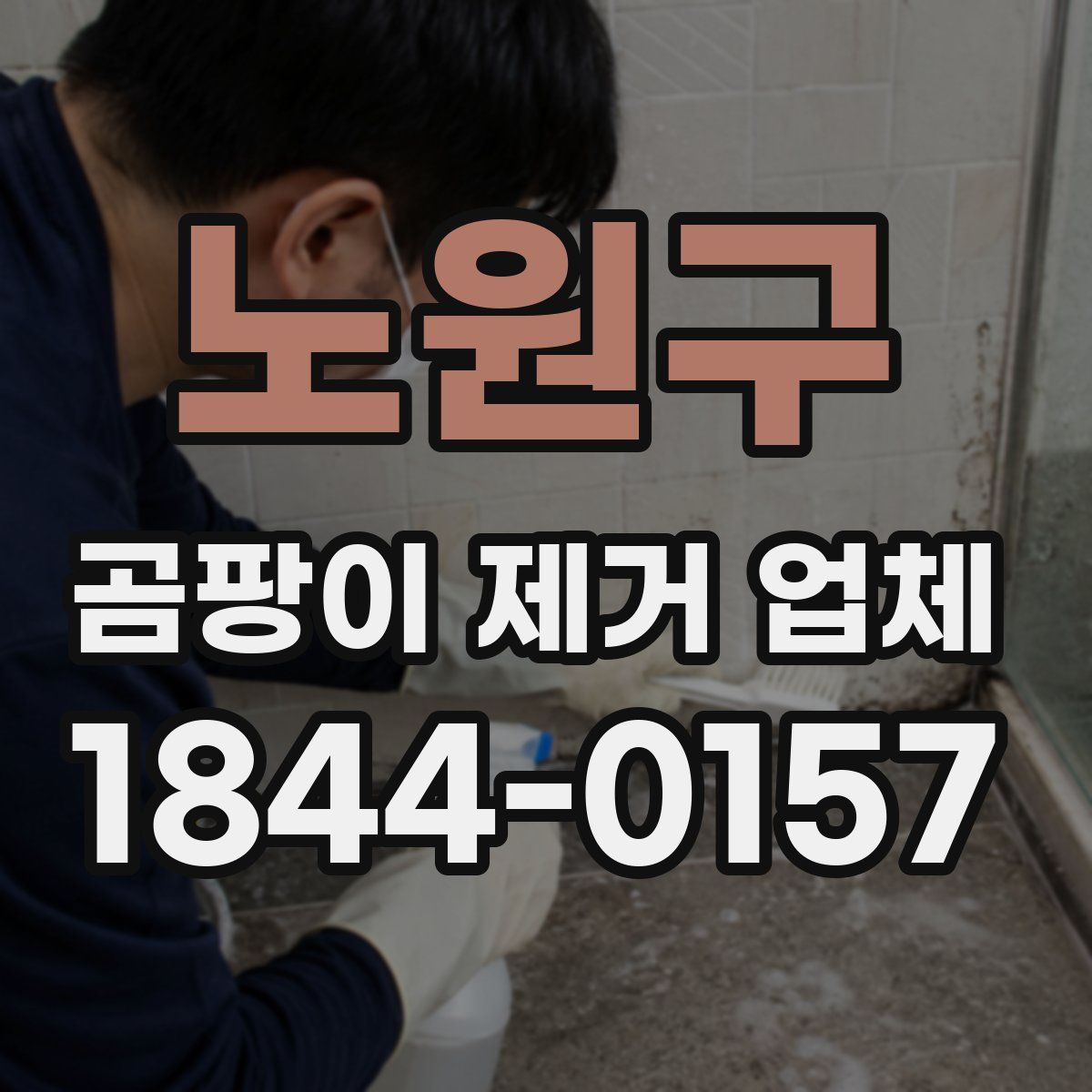 노원구 곰팡이 제거 업체